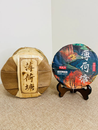 Bohetang Raw Pu'er Tea (2022 Harvest) – 薄荷塘普洱生茶 - Chin-tea Studio
