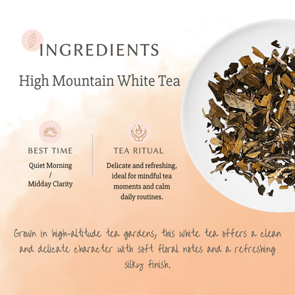 High Mountain White Tea - Chin-tea Studio