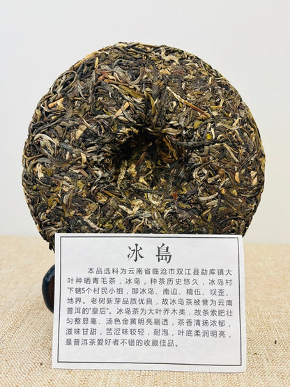 Icelandic Essence Bingdao Pu'er Raw Tea—year of 2021 (冰岛) - Chin-tea Studio