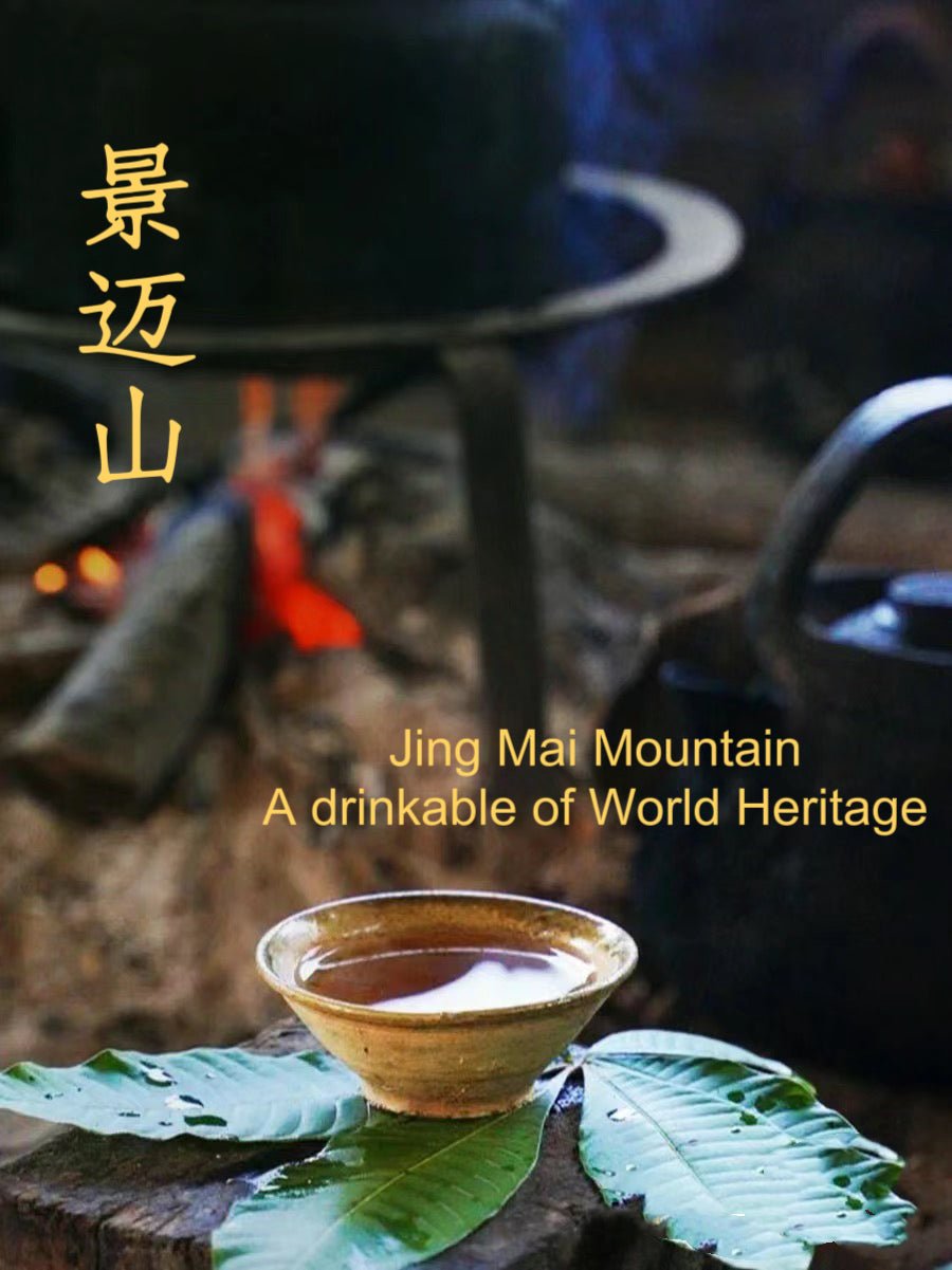 Jingmai Raw Pu'er Tea (2019) (景迈) | Ancient Tree Sheng Pu'er Tea from Yunnan - Chin-tea Studio