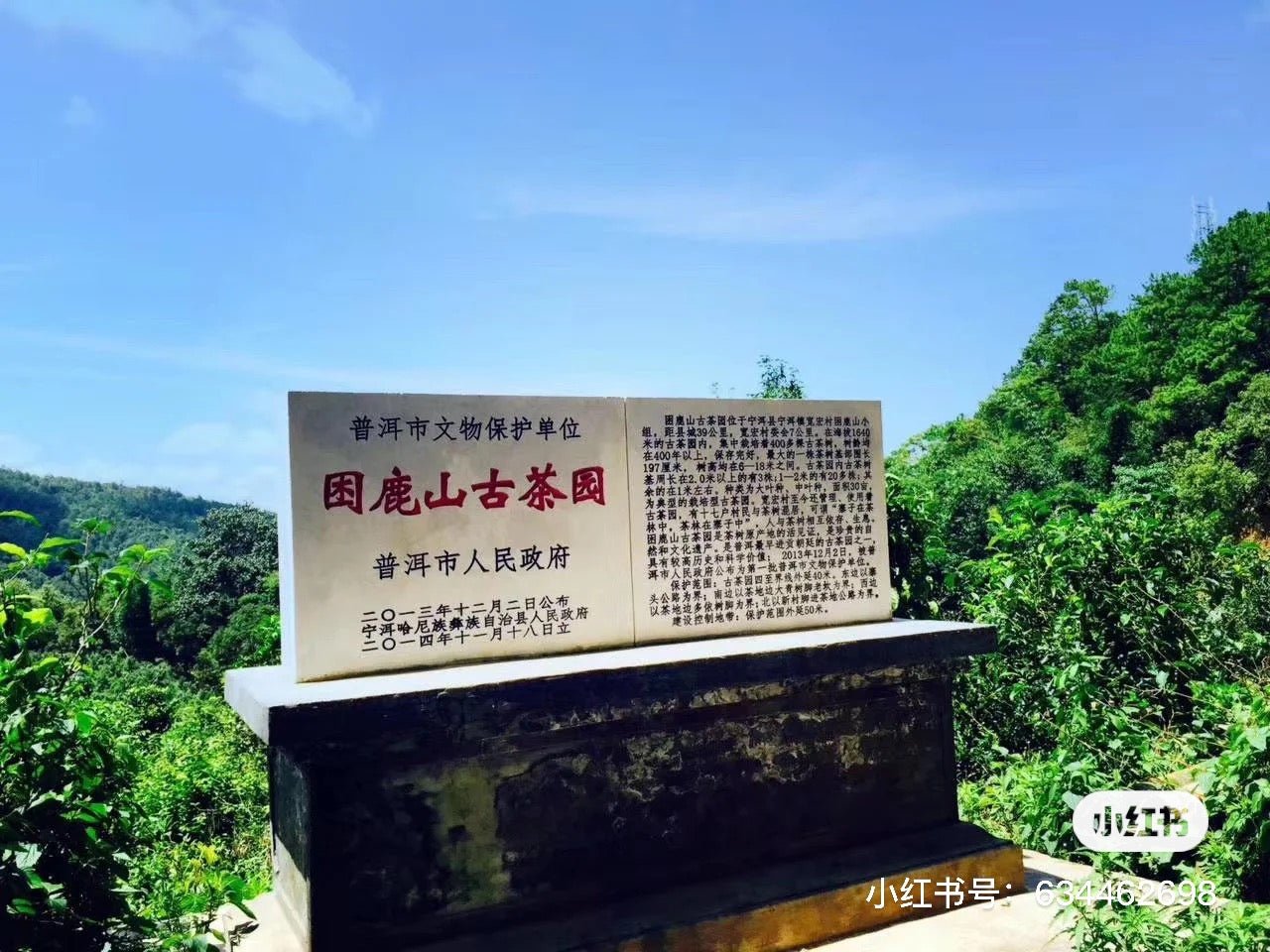Kunlu Mountain Raw Pu'er Tea (2019 Vintage) (困鹿山) | Premium Yunnan Sheng Pu'er Tea - Chin-tea Studio
