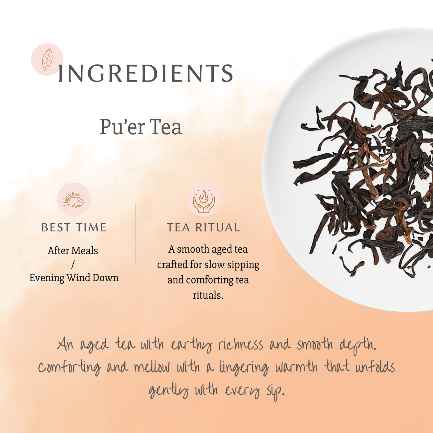 Premium Pu-erh Tea – Traditional Fermented Chinese Tea - Chin-tea Studio
